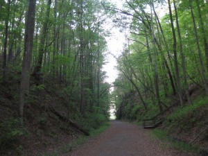 Allatoona Pass