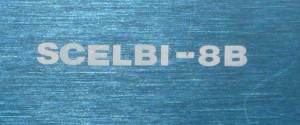 Scelbi logo- close up