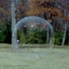 Soap Bubble