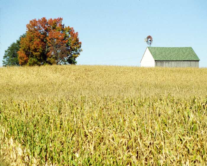 Wisconsin Barn