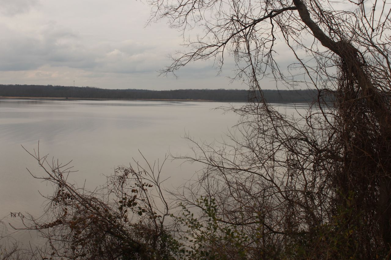 down appomattox
river from bluff