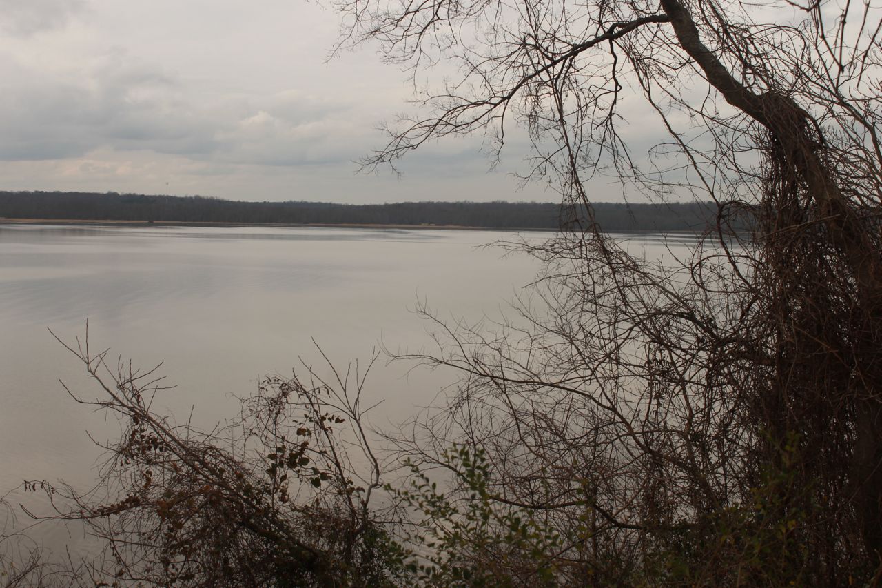 down appomattox
      river from bluff