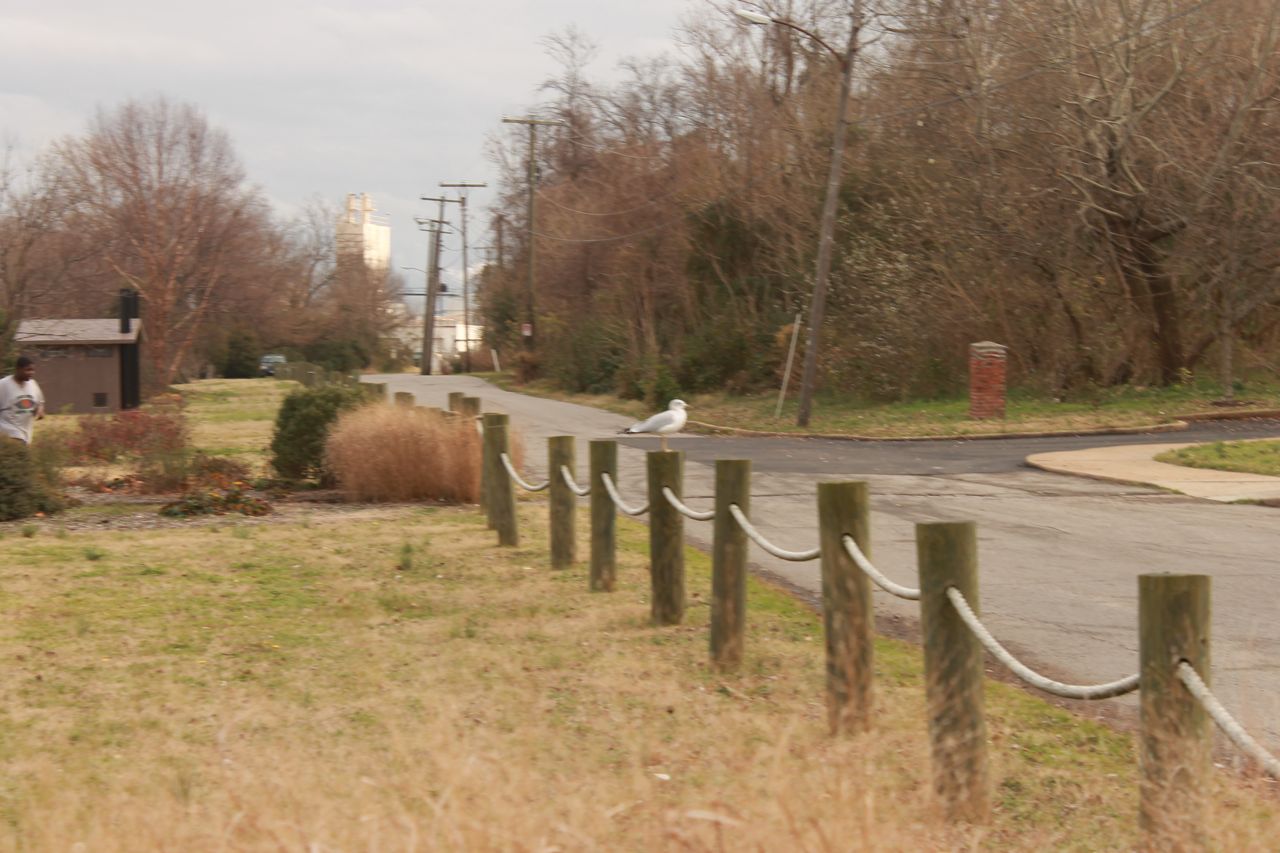 down shoreline road